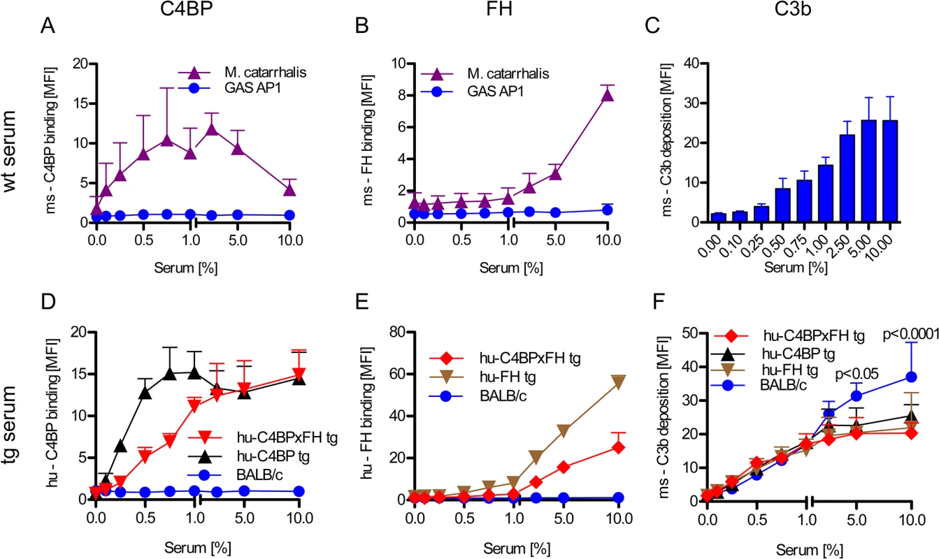 Human complement inhibitors decrease opsonization of GAS.