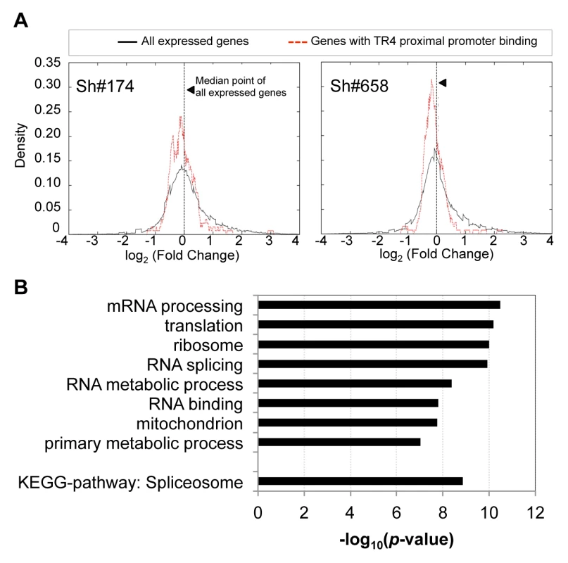 The expression of genes with TR4 bound at proximal promoter is reduced after TR4 depletion.