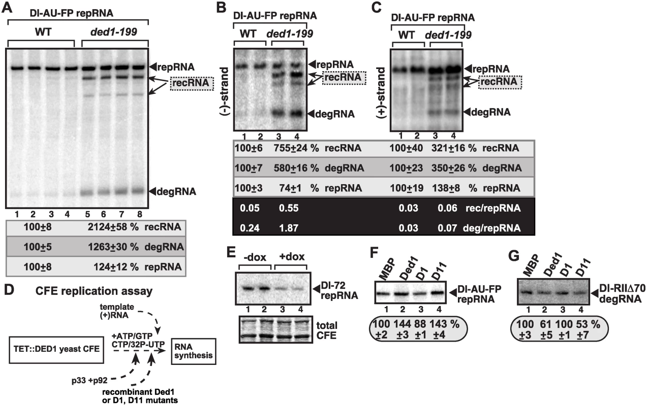 Suppression of TBSV recRNA accumulation by Ded1p in <i>in vitro</i> replication assays.