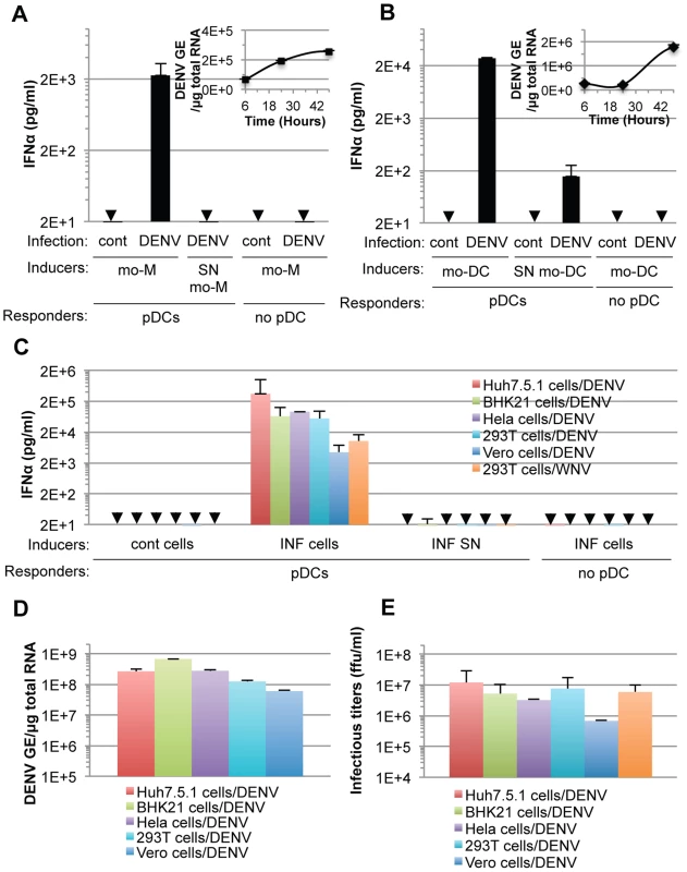 pDC IFNα secretion is triggered by DENV infected primary cells and is not DENV-restricted.