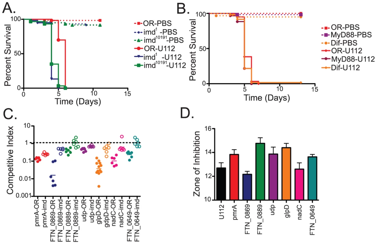 Negative selection screens in Drosophila immunity mutants identify <i>F. novicida</i> mutants that help the bacteria resist the imd-regulated host innate immune response.