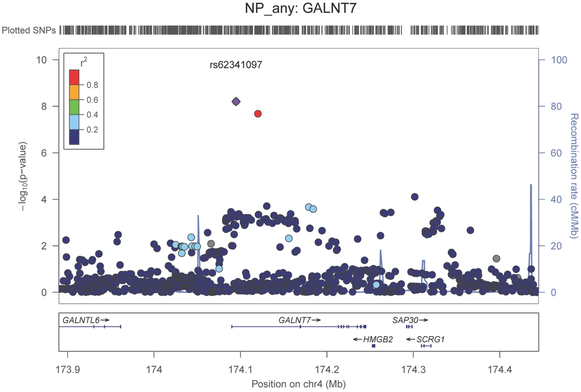 Regional association plot for <i>GALNT7</i> and the neuritic plaque (any vs. none) analysis.