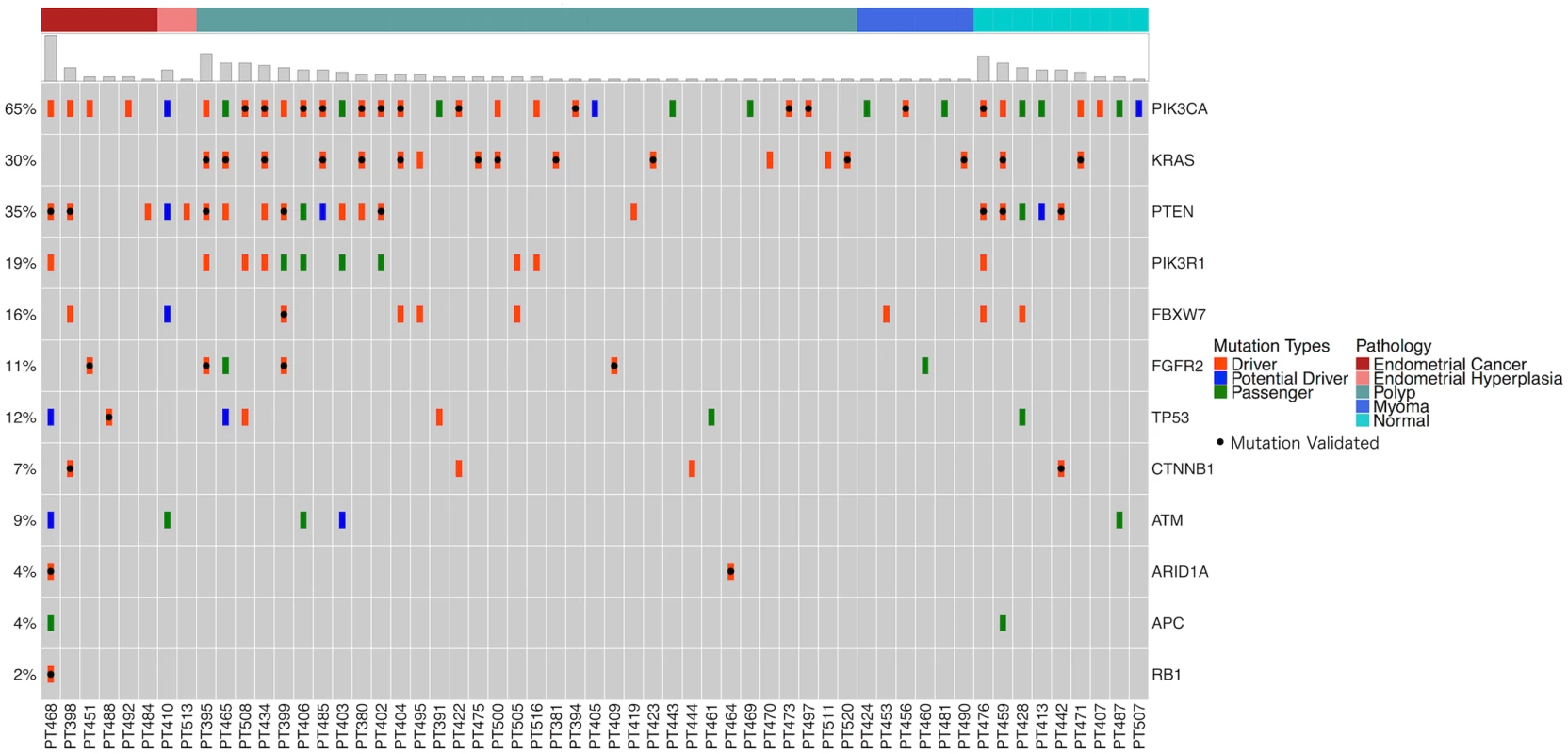 Mutation distributions detected by the 12-gene panel among the study cohort.