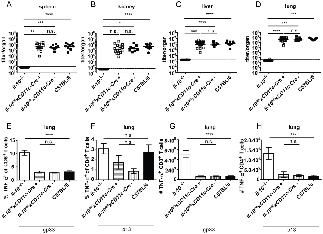 CD11c<sup>+</sup> cell derived IL-10 does not promote viral chronicity and T cell exhaustion.