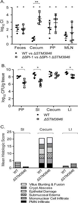 The STM3846 reverse transcriptase mediates intestinal colonization of <i>Salmonella</i> Typhimurium.