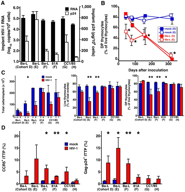 Thymocyte depletion and CCR5 induction on ITTP in six SCID-hu Thy/Liv mouse cohorts infected with R5 HIV Ba-L, 81A, or CC1/85.