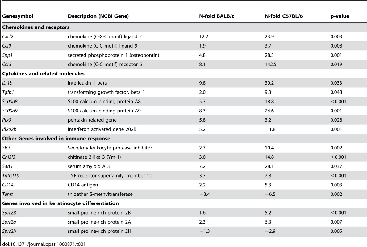 Genes with differential regulation in C57BL/6 or BALB/c mice upon &lt;i&gt;L. major&lt;/i&gt; infection.