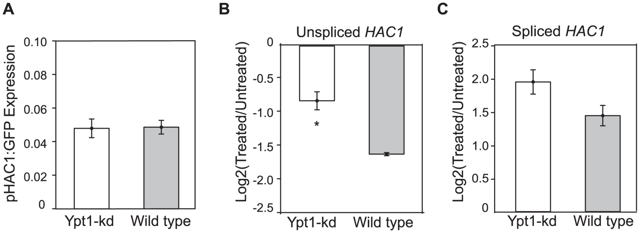 Ypt1 knockdown effect on <i>HAC1</i> <b>RNA transcription and decay.</b> 