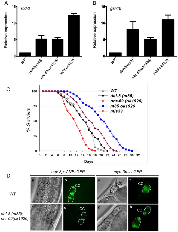 Reduced insulin signaling and neuropeptide secretion in <i>daf-8 nhr-69</i> mutants.