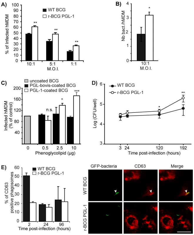 Effect of PGL-1 production on hMDM infection.