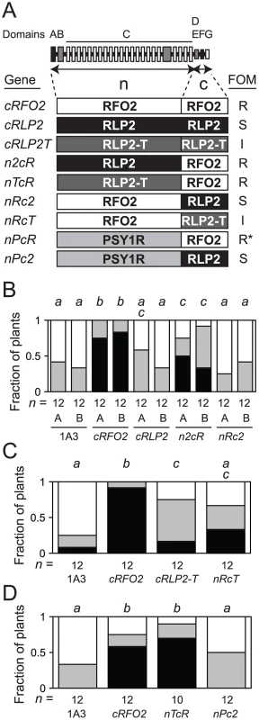 Constitutively-expressed and chimeric RLP genes.