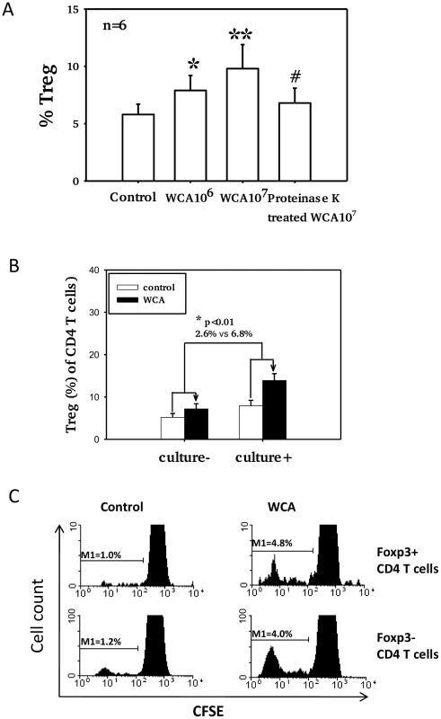 Pneumococcal WCA stimulation induces proliferation of Treg.