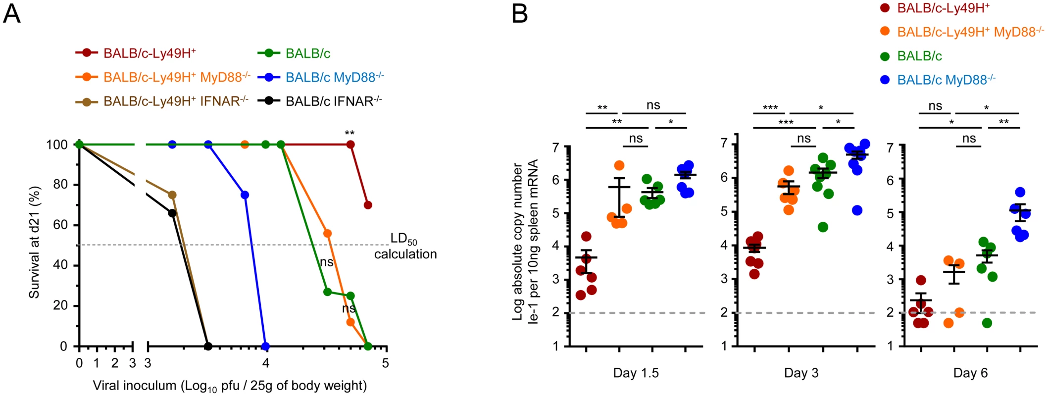 IFN-I responses are essential but MyD88 and Ly49H partly redundant to protect against MCMV infection.