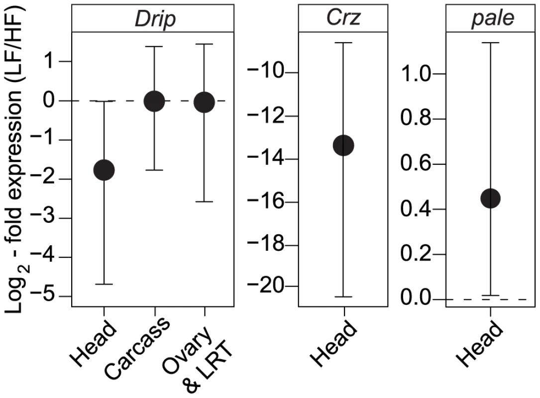 Tissue-specific expression of <i>Drip</i>, <i>Crz</i>, and <i>pale</i> between the different RIL alleles.