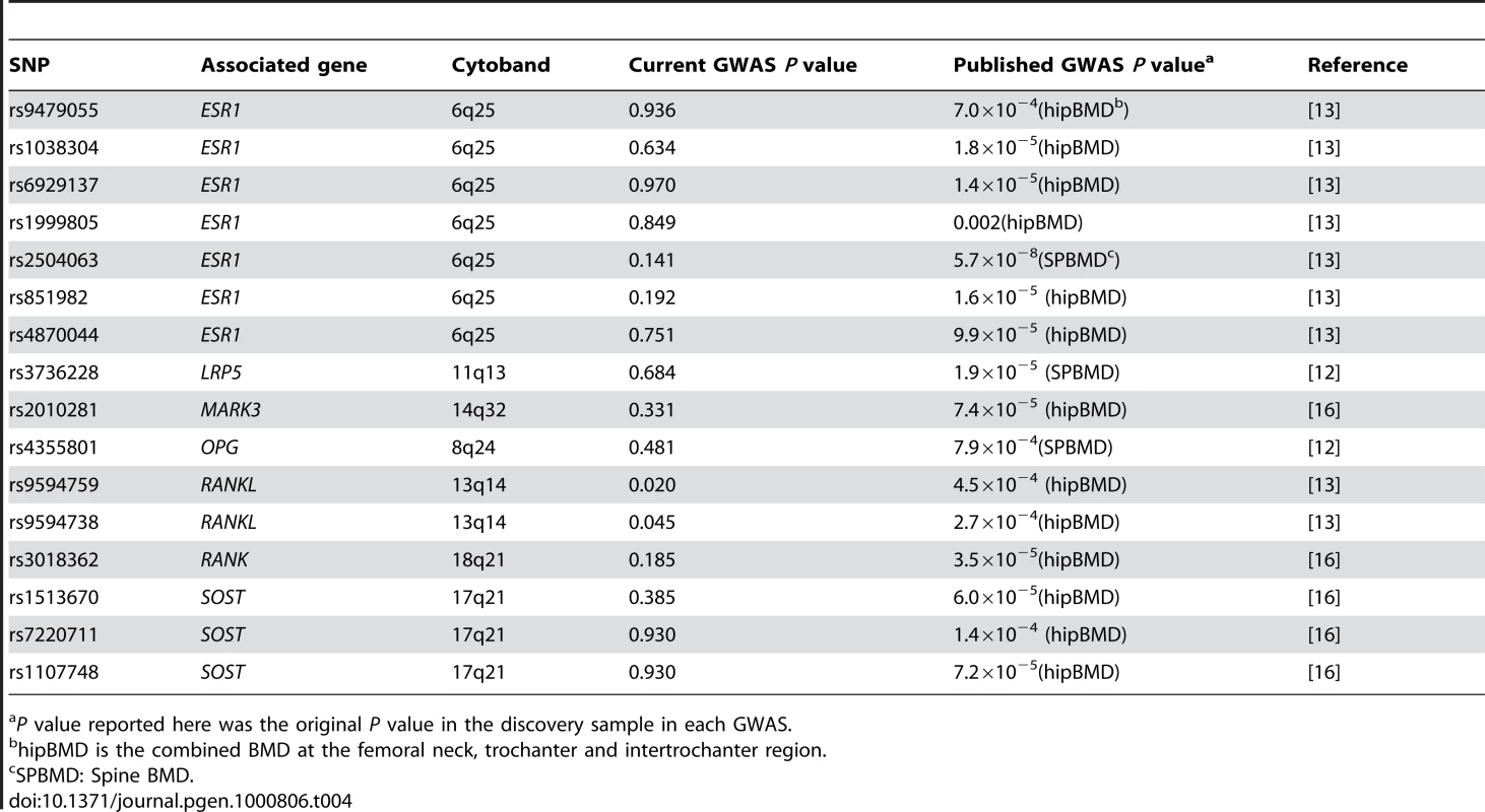 Comparison of the previous GWAS for BMD and the current GWAS.