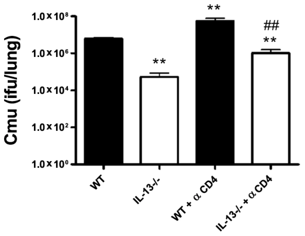 Enhanced clearance of <i>Chlamydia muridarum</i> (<i>Cmu</i>) infection in IL-13−/− mice is not dependent on CD4+T cells.