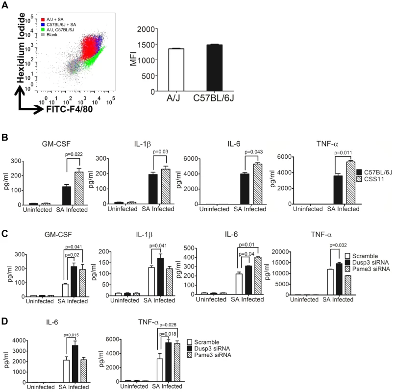 siRNA knockdown of <i>Dusp3</i> and <i>Psme3</i> result in significant elevation of cytokine production, consistent with the pattern of bone marrow derived macrophages from CSS11 as compared with C57BL/6J (GM-CSF, IL-1β, IL-6 and TNF-α).