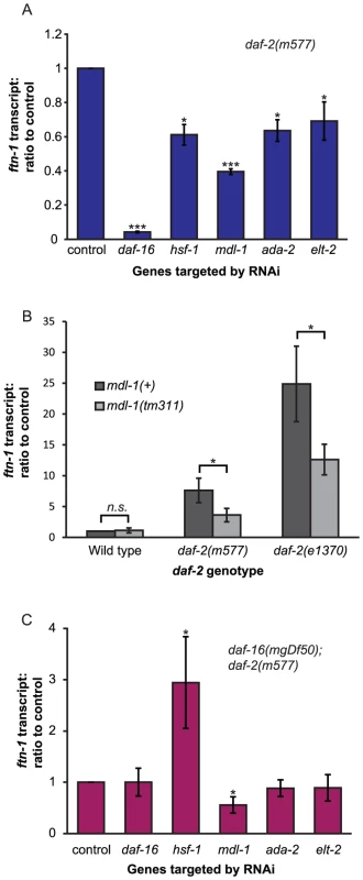 Identification of genes activating <i>ftn-1</i> expression.