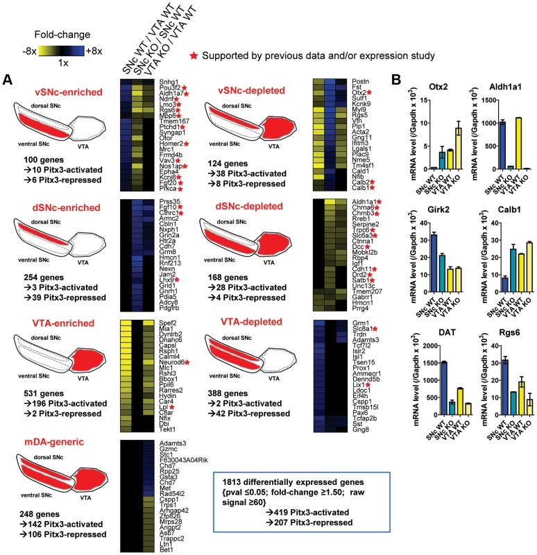 Subset-specific expression signatures of mDA neurons.