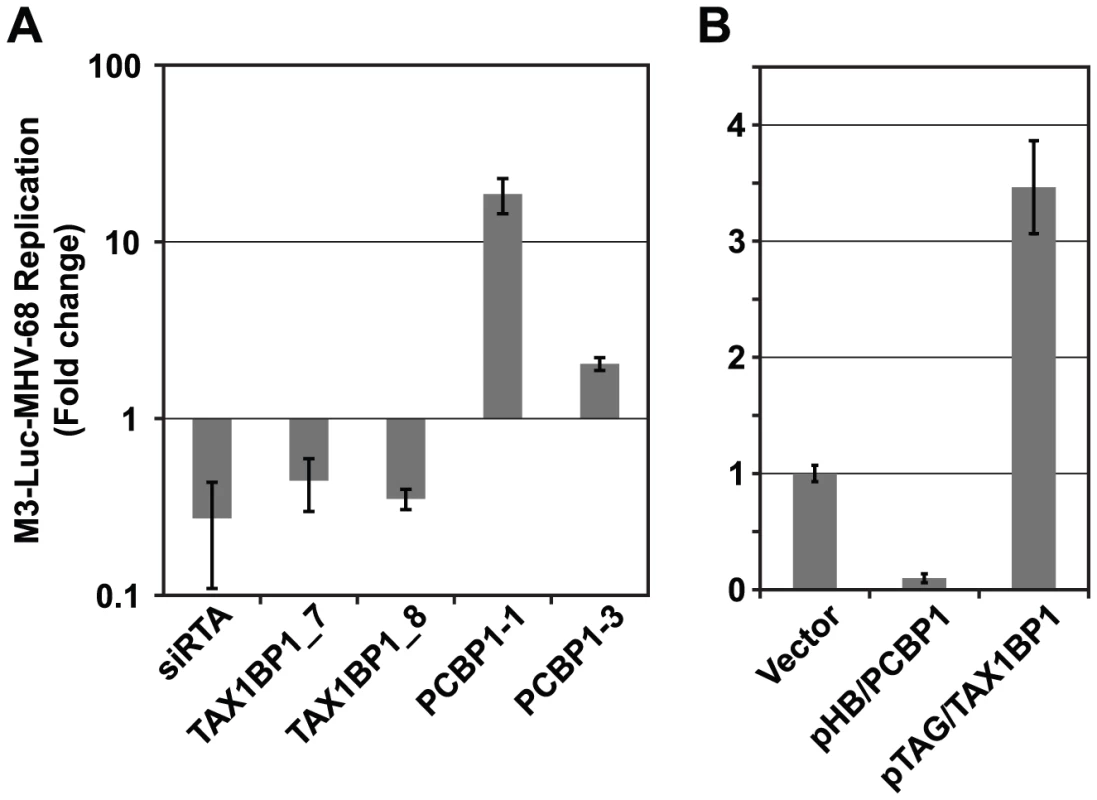 PCBP1 and TAX1BP1 have opposing effects on MHV-68 replication.