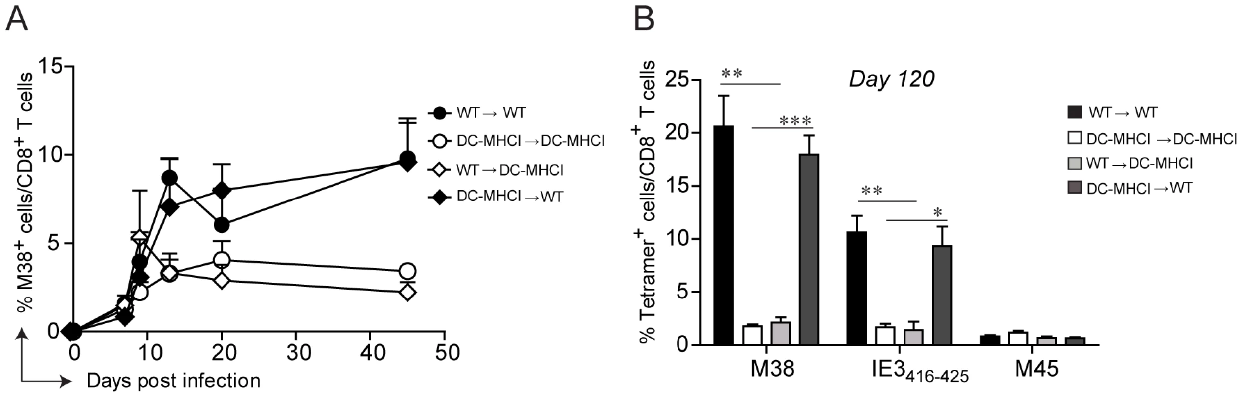 Restriction of antigen presentation to DCs abrogates memory inflation.