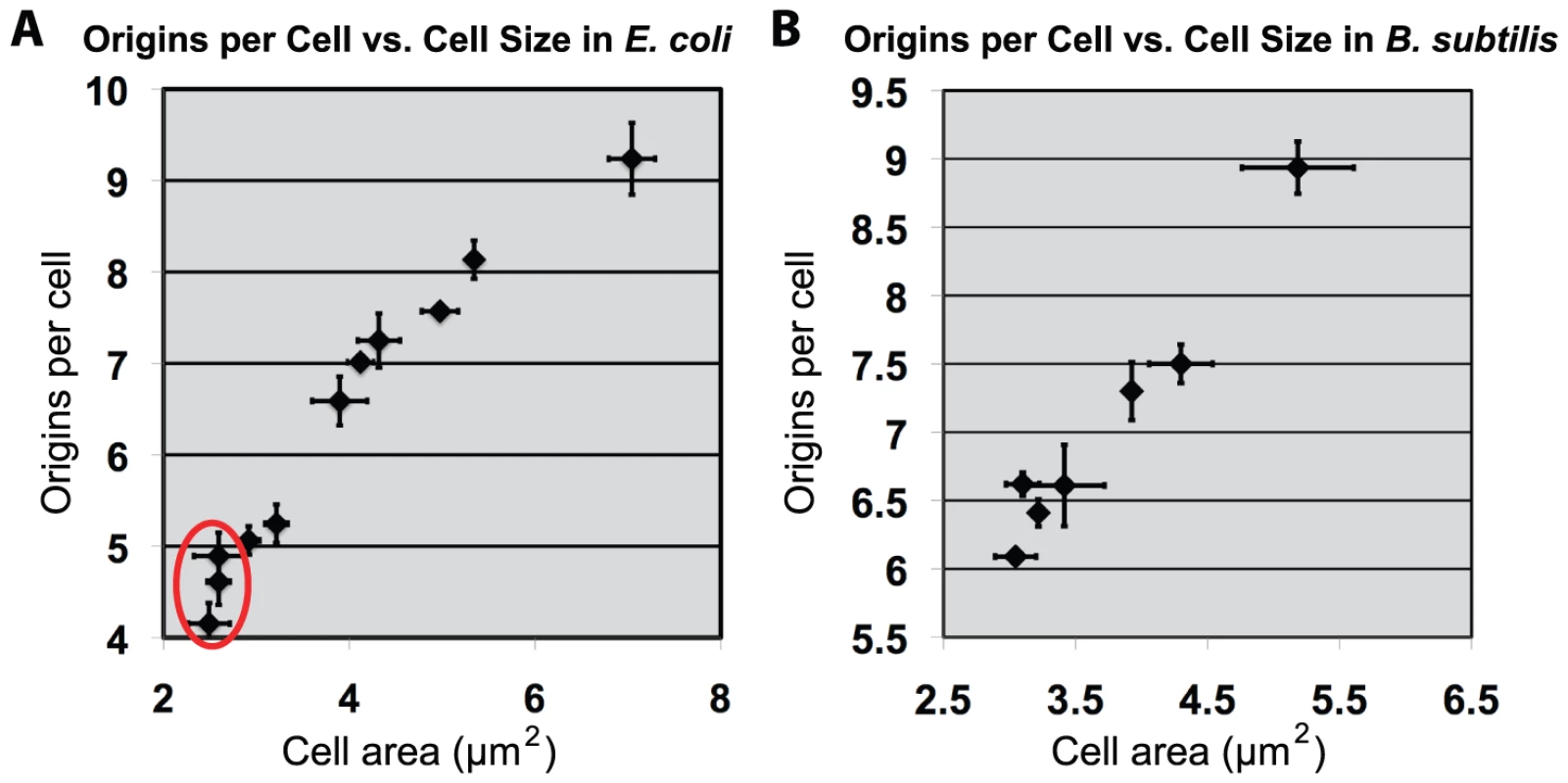 Increasing cell size results in proportional increase of initiations for both <i>E. coli</i> and <i>B. subtilis</i>.