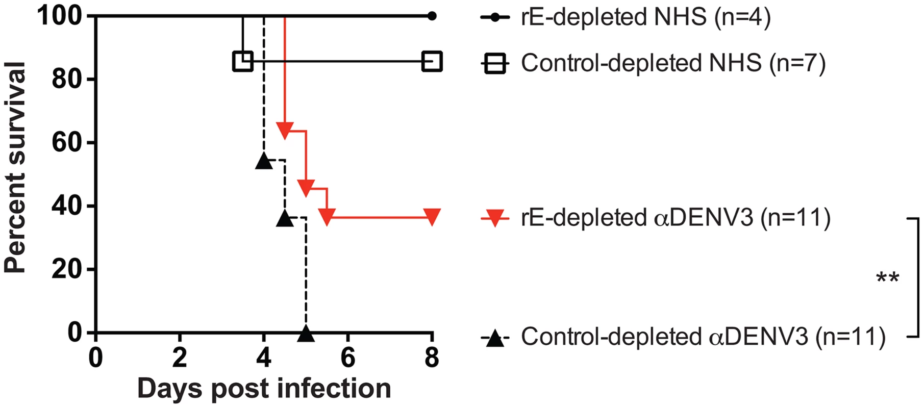 DENV E-specific antibodies in human serum are <i>partially</i> responsible for ADE of heterotypic DENV infections in AG129 mice.