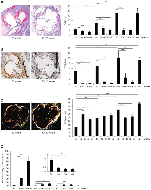 Immunohistochemical characteristics of representative frozen sections of aortic roots from <i>Ldlr<sup>−/−</sup>Apob</i><sup>100/100</sup><i>Mttp</i><sup>flox/flox</sup> and <i>Ldlr<sup>−/−</sup>Apob</i><sup>100/100</sup><i>Mttp</i><sup>Δ/Δ</sup> mice.