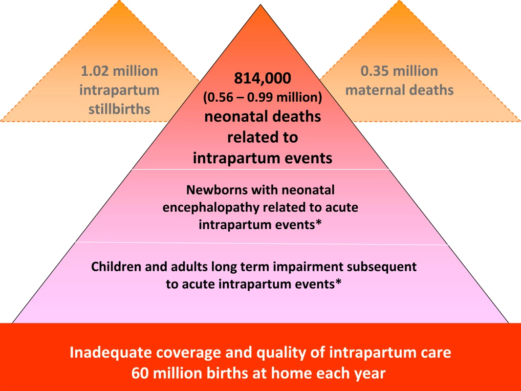 The burden of intrapartum-related neonatal deaths, intrapartum stillbirths, maternal deaths, and the unknown associated burden of neonatal morbidity and disability.
