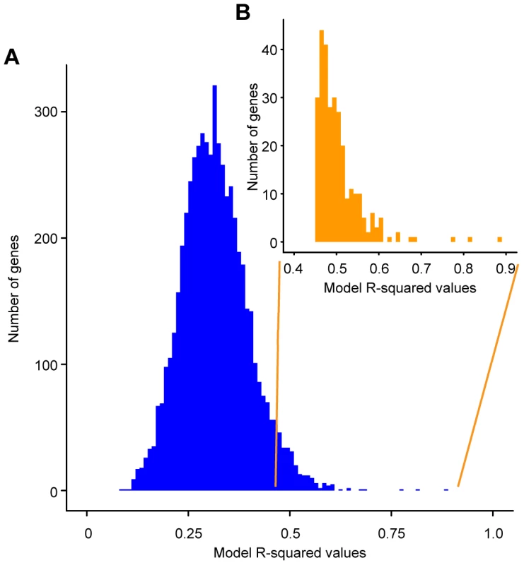 Histogram of R-squared values obtained for the linear models describing the effect of genotype on the expression of individual genes.