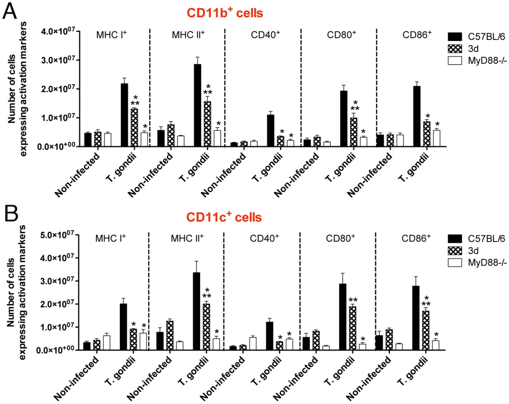 Antigen presenting cells from infected 3d mice express significant amounts of activation markers.