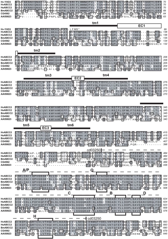 Sequence alignment of ABCC proteins from Lepidoptera, <i>Drosophila</i>, and mouse, Part 1.