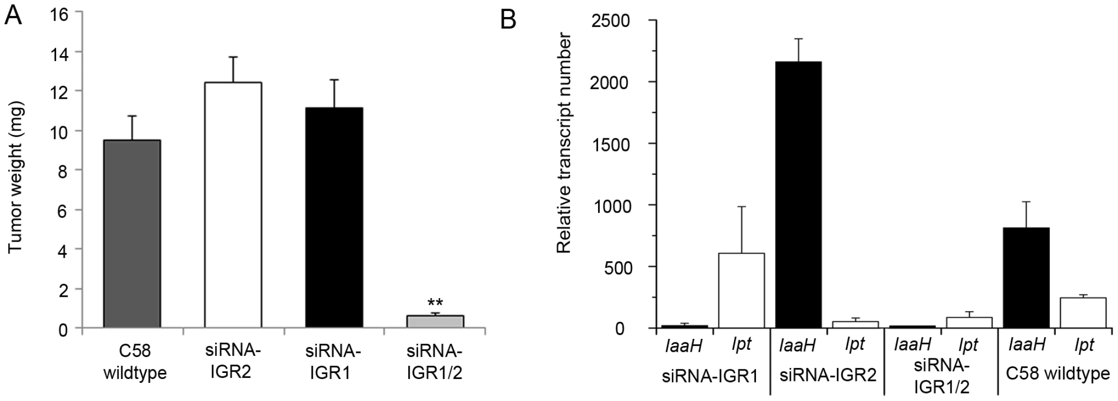 Tumor development and oncogene transcription are inhibited by RNAi–mediated DNA methylation.