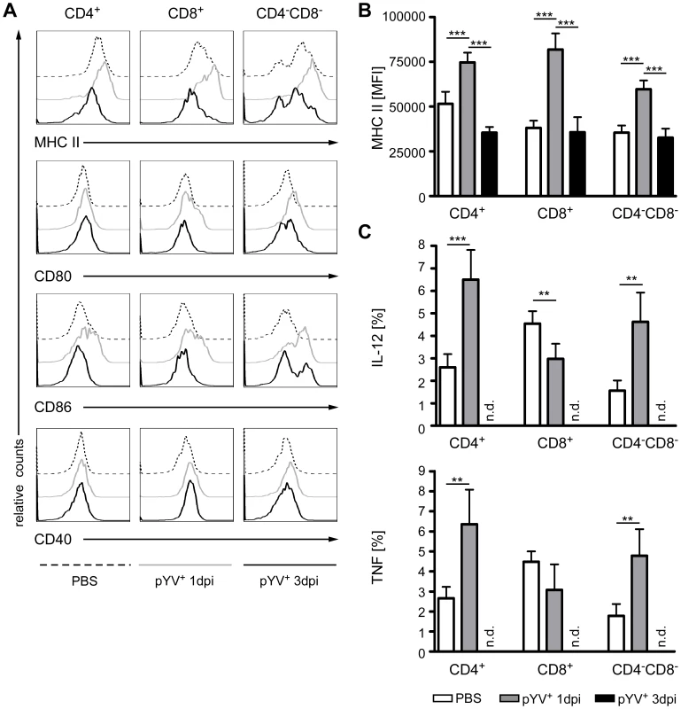 Analysis of DC maturation and cytokine production in mice infected with Ye.