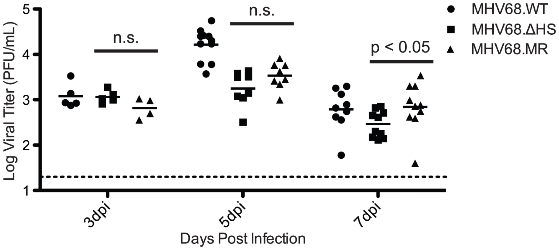 MHV68.ΔHS replicates to near MHV68.MR levels during the acute phase of infection in the mouse lung.