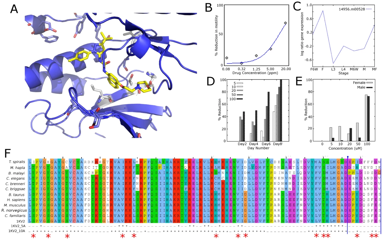 Alignment, structure, and experimental data for p38 MAP kinase (CMGC_sub1).