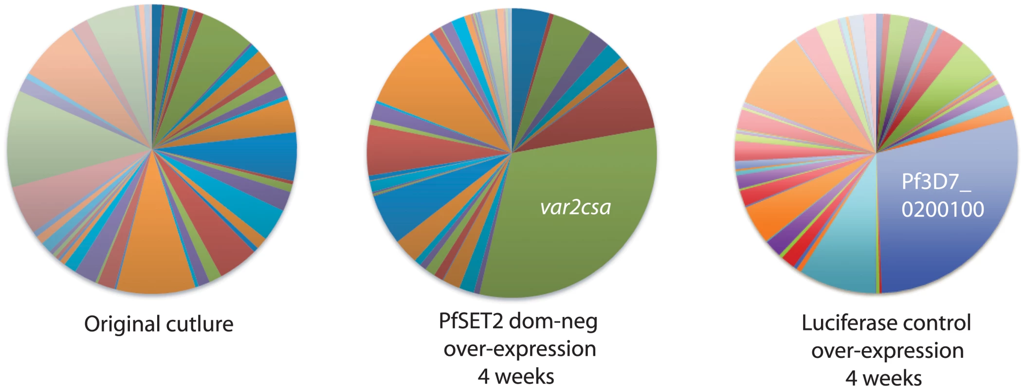 Induction of <i>var2csa</i> expression in response to PfSET2 dom-neg over-expression in a heterogenous population expressing many <i>var</i> genes.