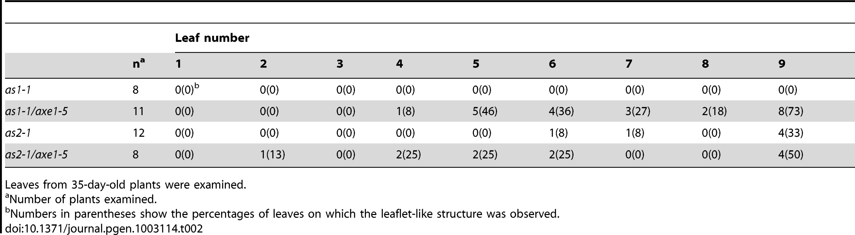 Frequency of leaflet-like structure.