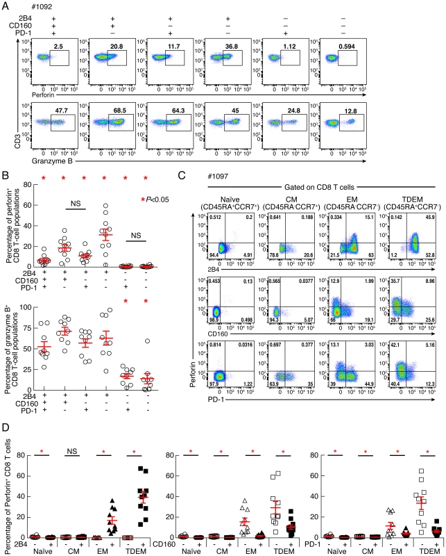 Expression levels of perforin and granzyme B in CD8 T-cell subsets defined by the expression of 2B4, CD160 and PD-1.