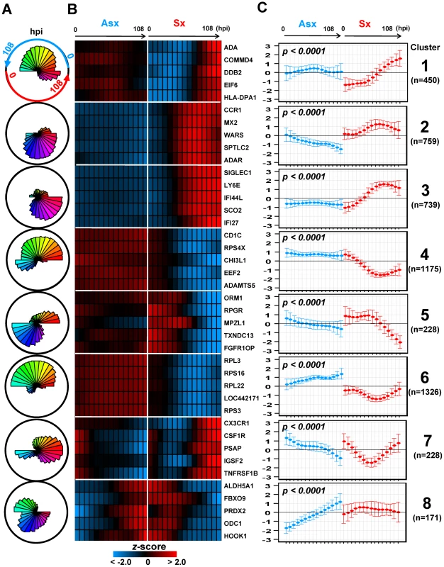 Self-organizing map clusters show distinct transcriptional dynamics in Influenza H3N2/Wisconsin virus challenge study.