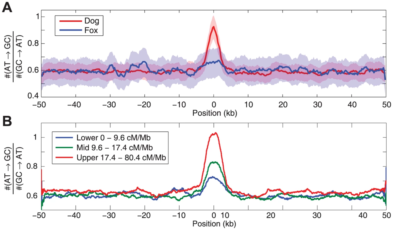 Evidence of biased gene conversion in dog and fox genomes.
