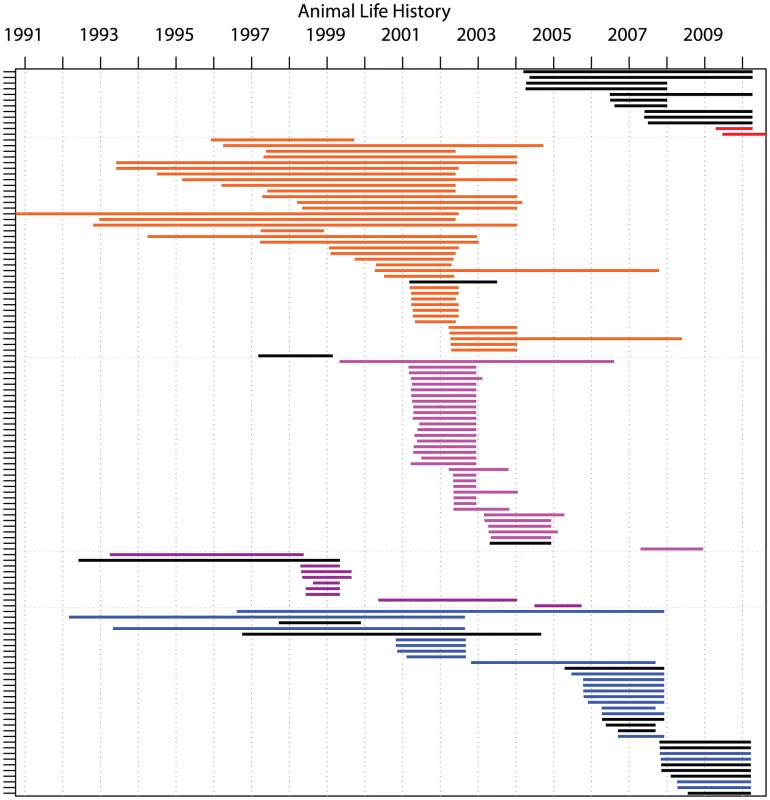 Life histories of all cattle with from which <i>Mycobacterium bovis</i> samples of VNTR type 10 were obtained.