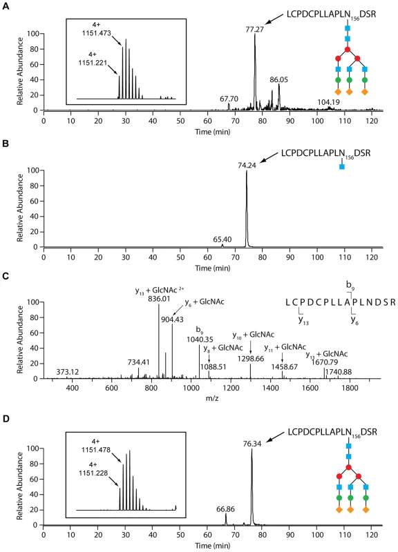LC-MS analysis reveals an endo-β-<i>N</i>-acetylglucosaminidase activity of GpdG.