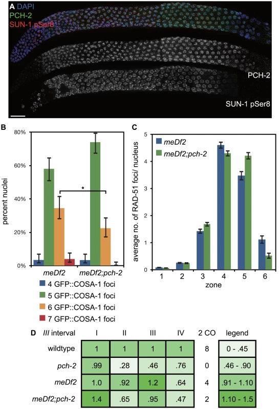 Mutation of <i>pch-2</i> reduces the percentage of nuclei with six GFP::COSA-1 foci in <i>meDf2</i> homozygotes.