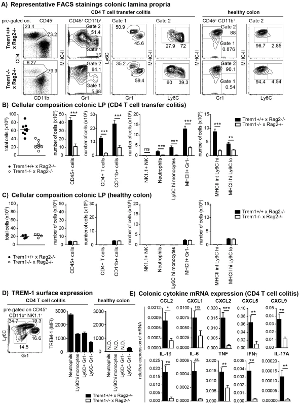 Upon colitis induction, <i>Trem1<sup>−/−</sup> x Rag2<sup>−/−</sup></i> mice exhibit substantially reduced inflammatory infiltrates and diminished expression of pro-inflammatory mediators.