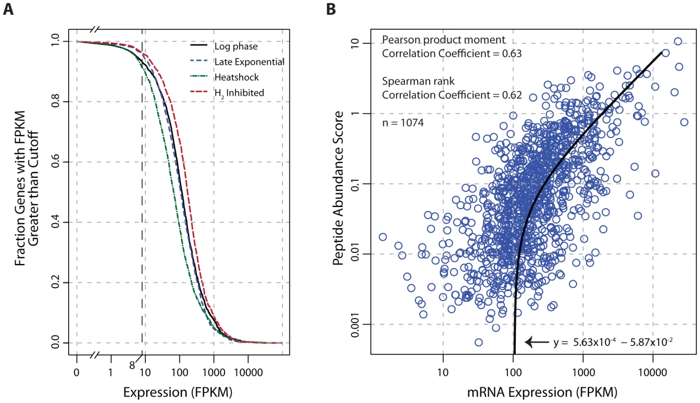 Global analysis of mRNA and protein expression levels.