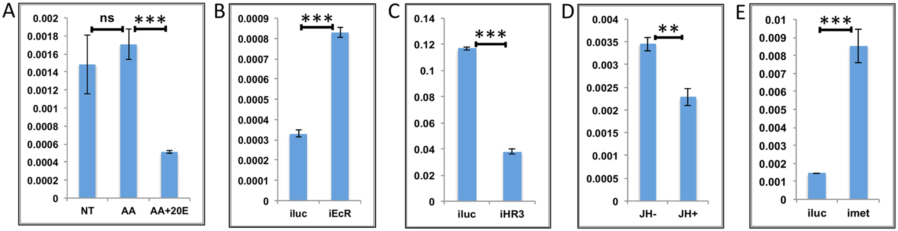 Effects of AAs, 20E, JH and HR3 on representative LMGs.