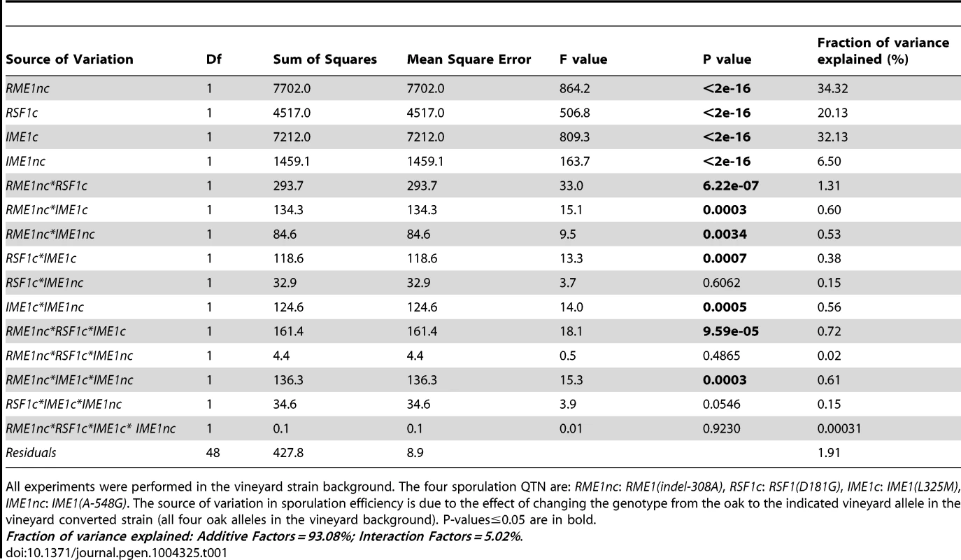 Analysis of variance (ANOVA) table of sporulation efficiencies in allele replacement strains.