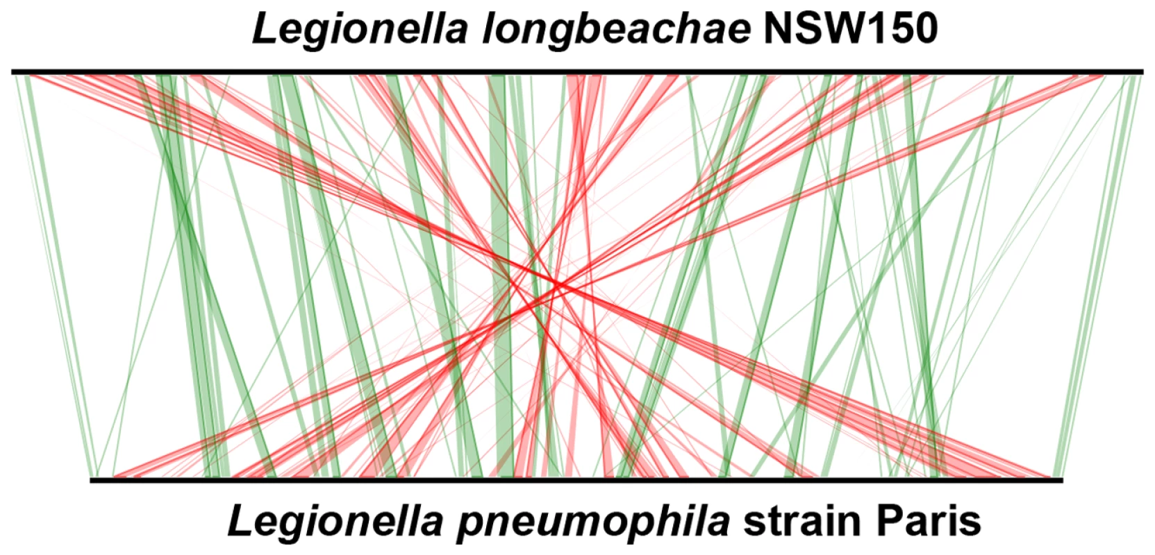 Whole-genome synteny map of <i>L.longbeachae</i> strain NSW150 and <i>L. pneumophila</i> strain Paris.