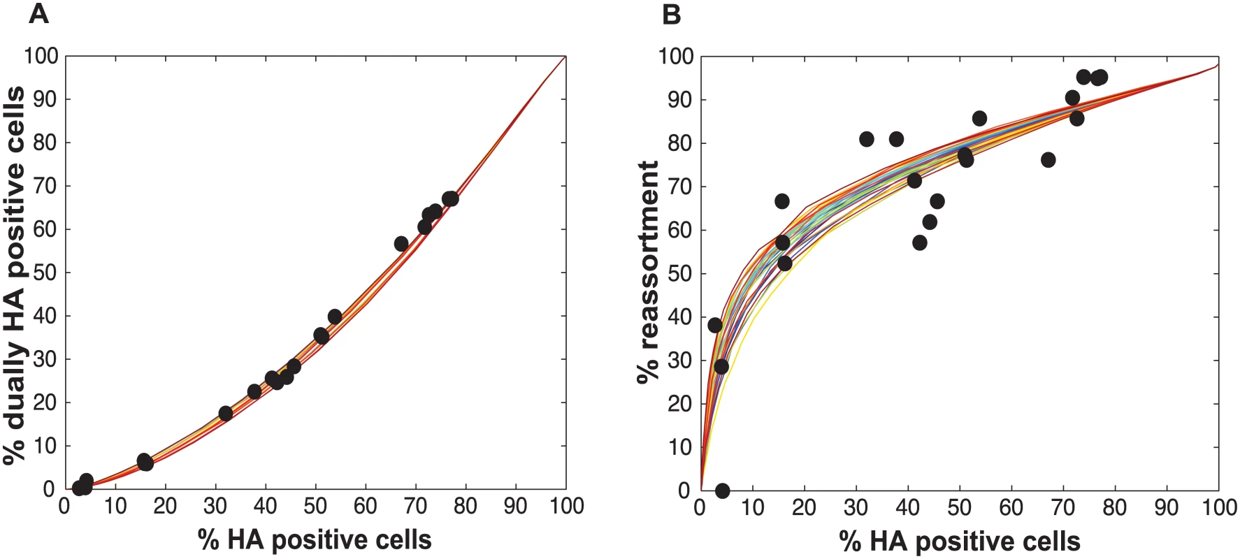 Varying P<sub>P</sub> by segment yields good fit between modeled and observed relationships among HA positive cells, dually HA positive cells and reassortment.